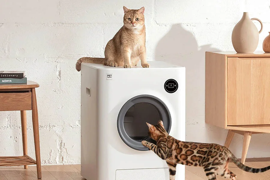 best litter box for two cats