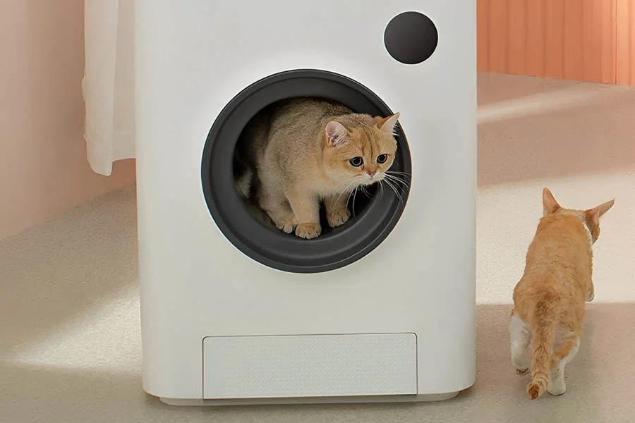 kitty litter box that cleans itself