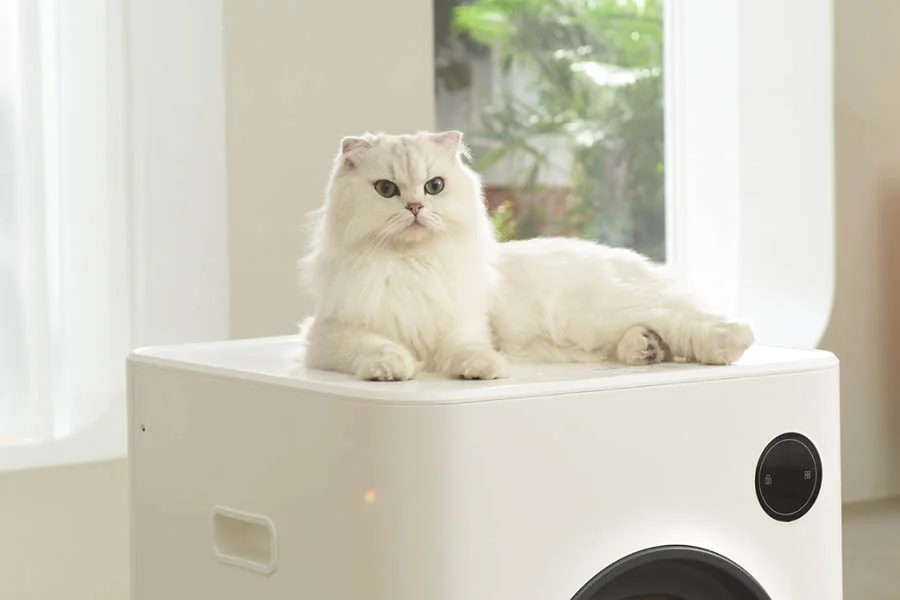 best litter box for large cats