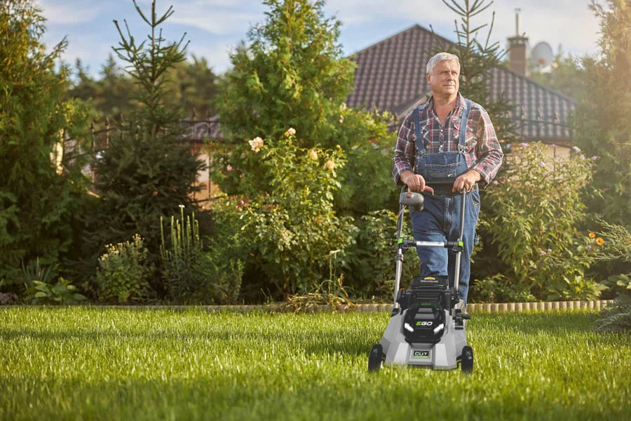 self powered lawn mowers